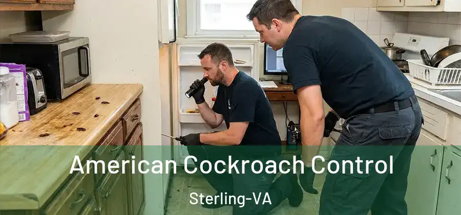 American Cockroach Control Sterling-VA