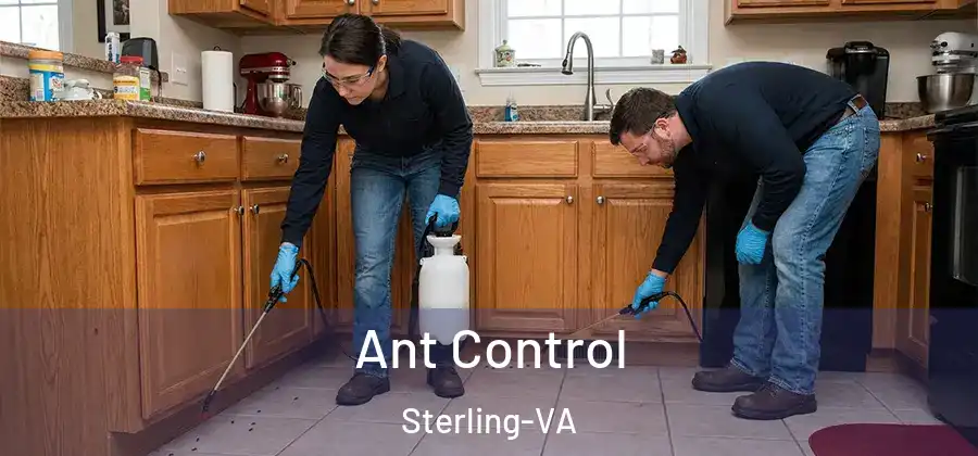 Ant Control Sterling-VA