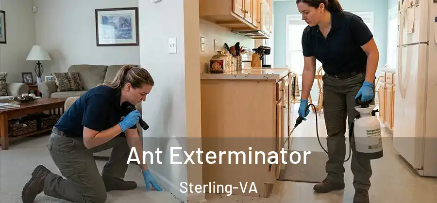Ant Exterminator Sterling-VA