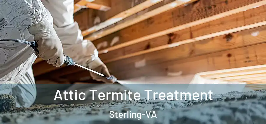 Attic Termite Treatment Sterling-VA