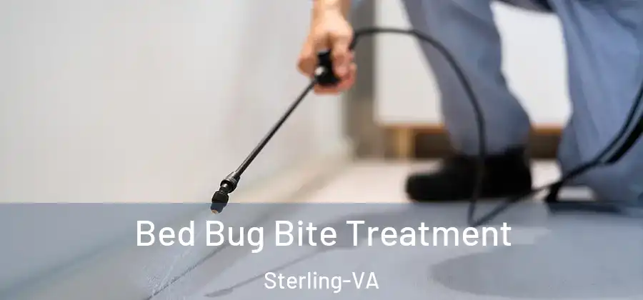 Bed Bug Bite Treatment Sterling-VA