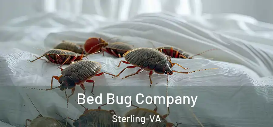  Bed Bug Company Sterling-VA