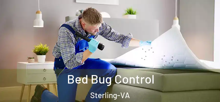 Bed Bug Control Sterling-VA