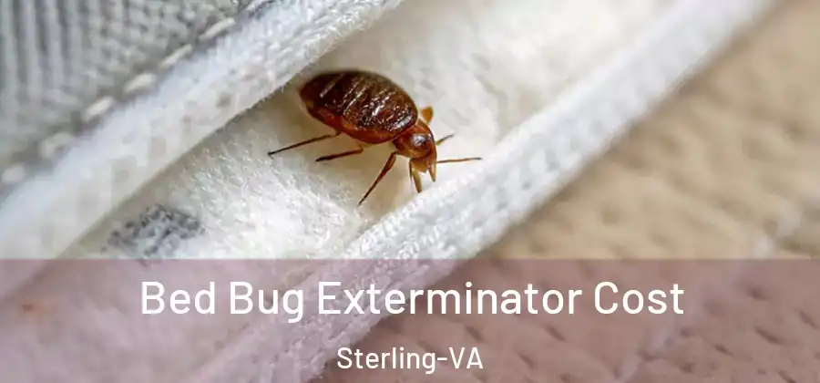 Bed Bug Exterminator Cost Sterling-VA