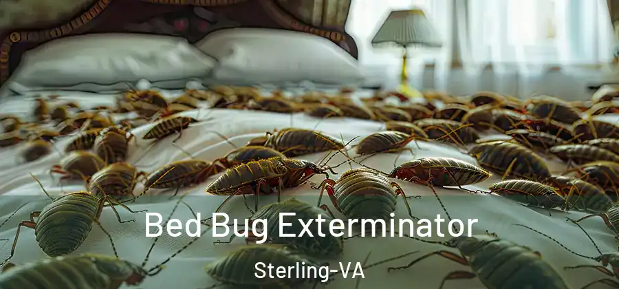 Bed Bug Exterminator Sterling-VA