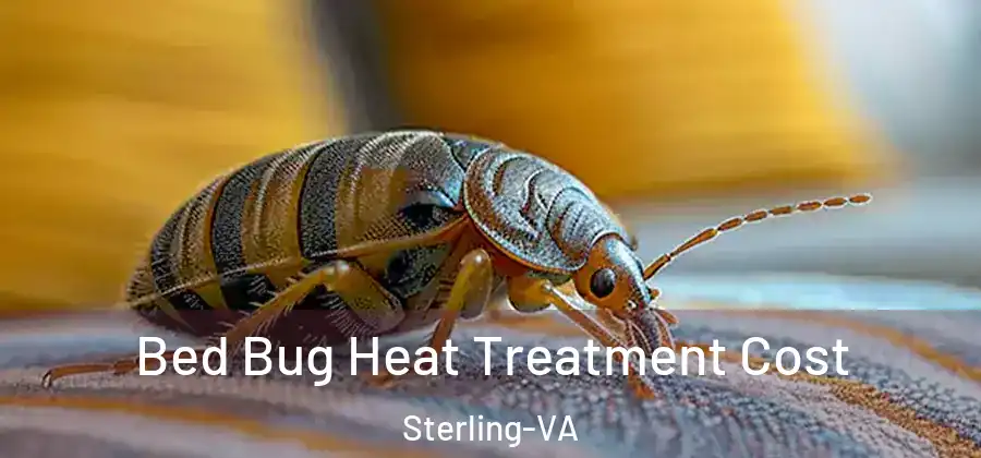 Bed Bug Heat Treatment Cost Sterling-VA