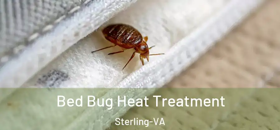 Bed Bug Heat Treatment Sterling-VA