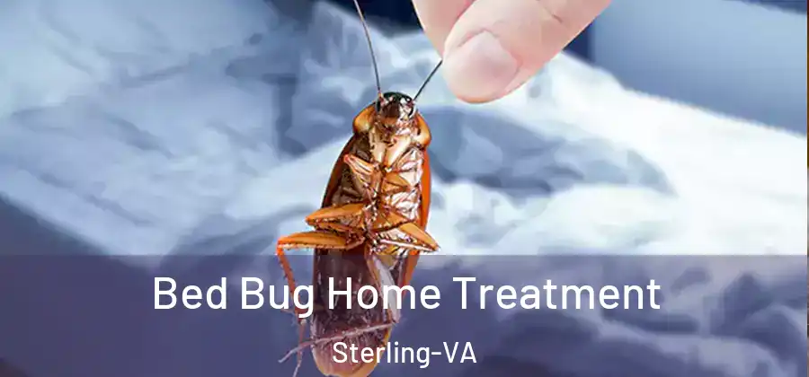 Bed Bug Home Treatment Sterling-VA