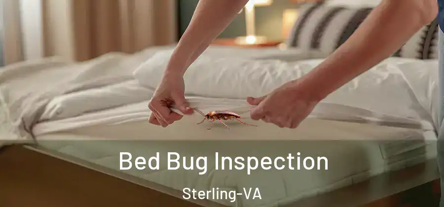 Bed Bug Inspection Sterling-VA