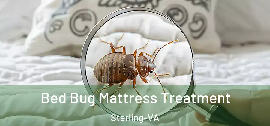 Bed Bug Mattress Treatment Sterling-VA