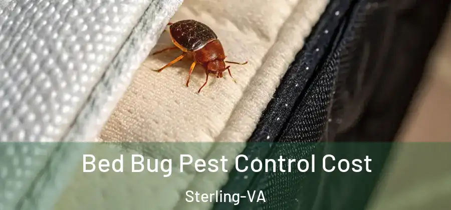  Bed Bug Pest Control Cost Sterling-VA