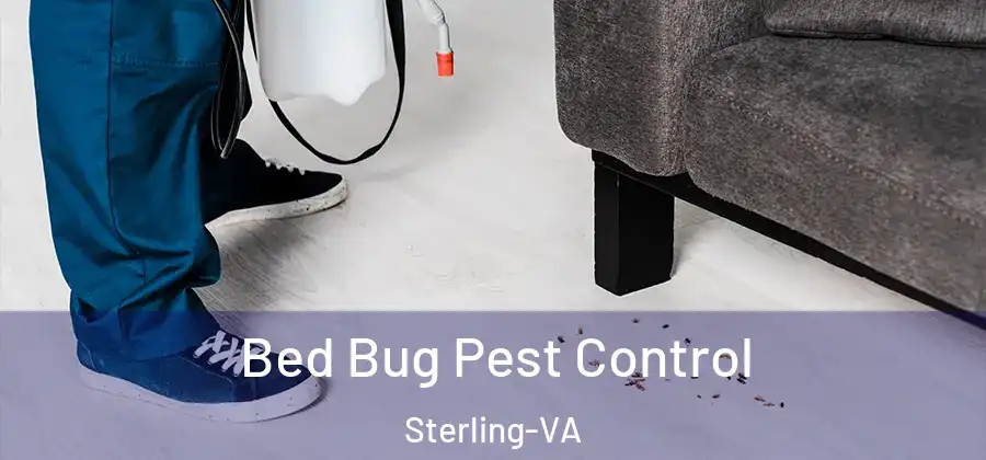 Bed Bug Pest Control Sterling-VA