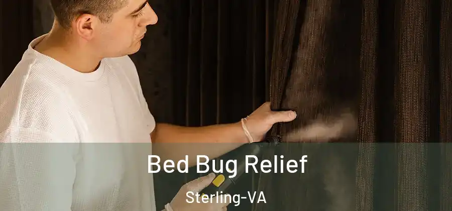 Bed Bug Relief Sterling-VA