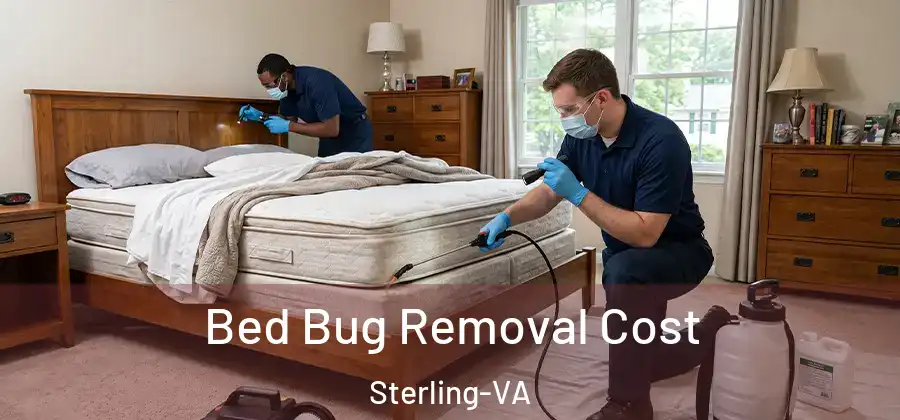 Bed Bug Removal Cost Sterling-VA