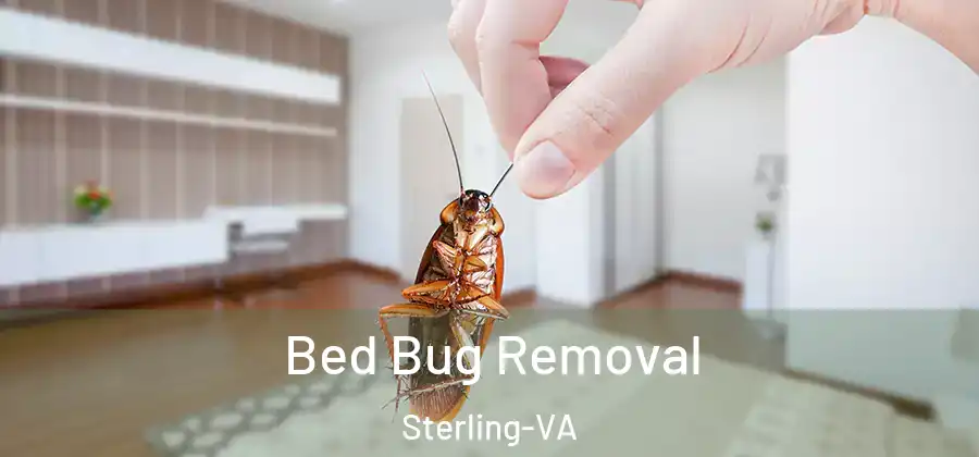 Bed Bug Removal Sterling-VA