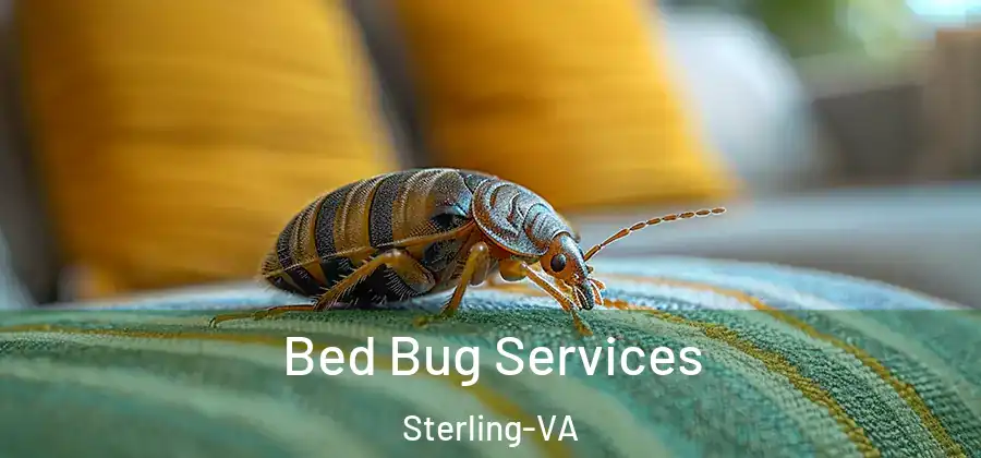 Bed Bug Services Sterling-VA