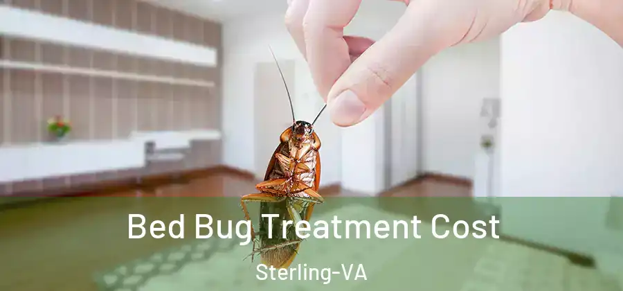 Bed Bug Treatment Cost Sterling-VA