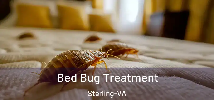 Bed Bug Treatment Sterling-VA