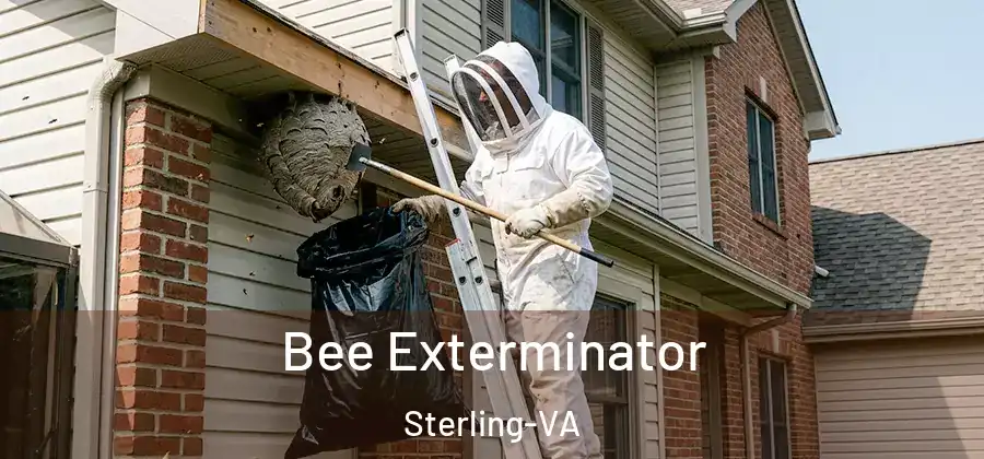 Bee Exterminator Sterling-VA