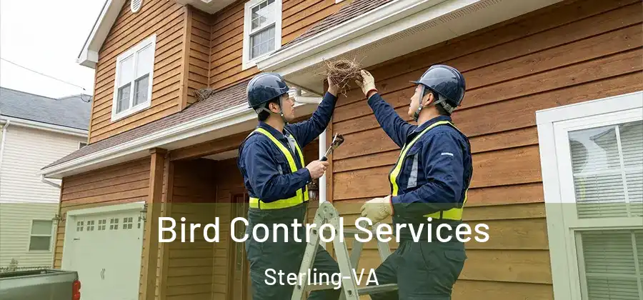Bird Control Services Sterling-VA