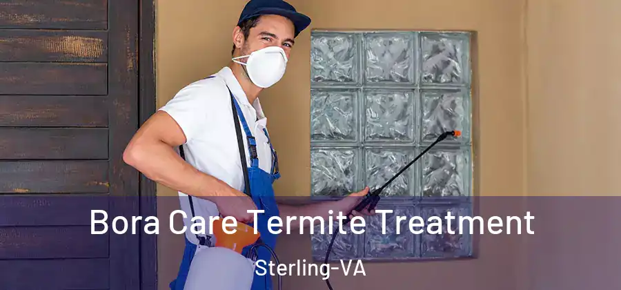 Bora Care Termite Treatment Sterling-VA