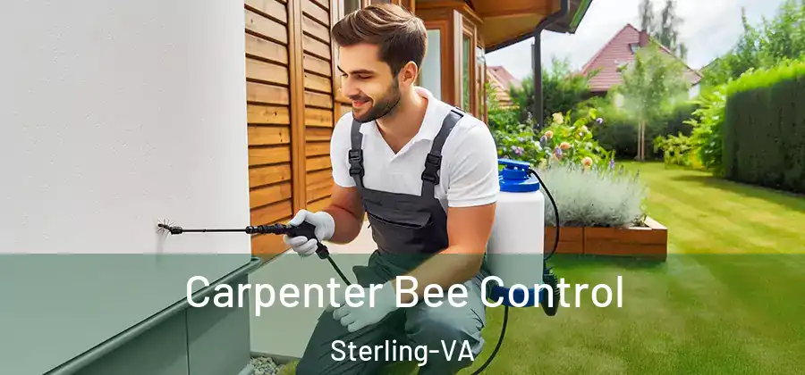 Carpenter Bee Control Sterling-VA