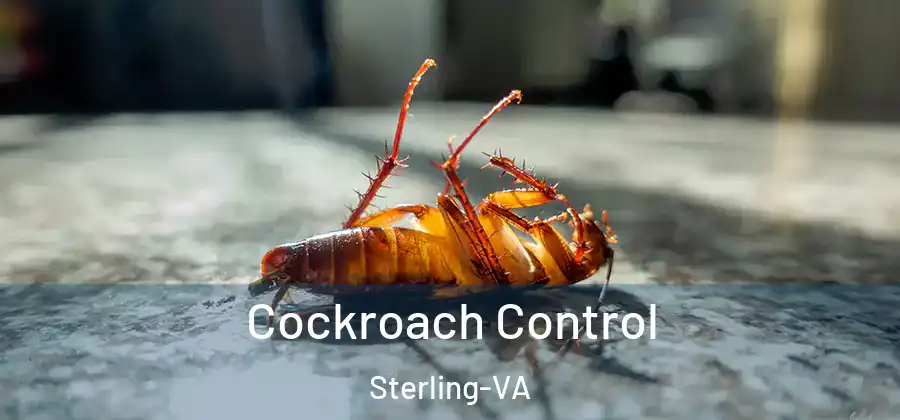 Cockroach Control Sterling-VA