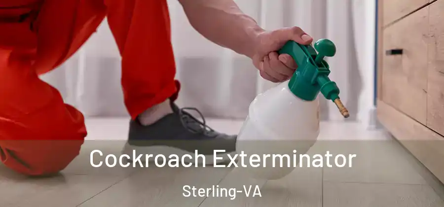 Cockroach Exterminator Sterling-VA