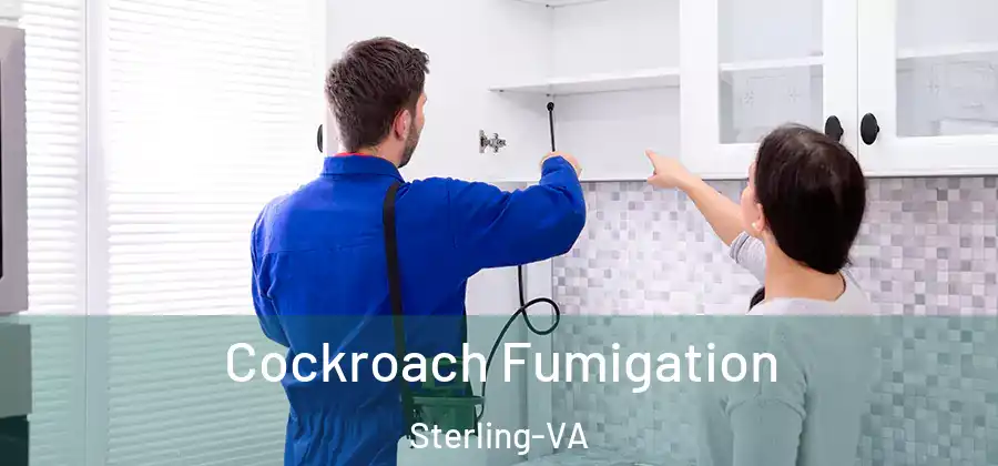 Cockroach Fumigation Sterling-VA
