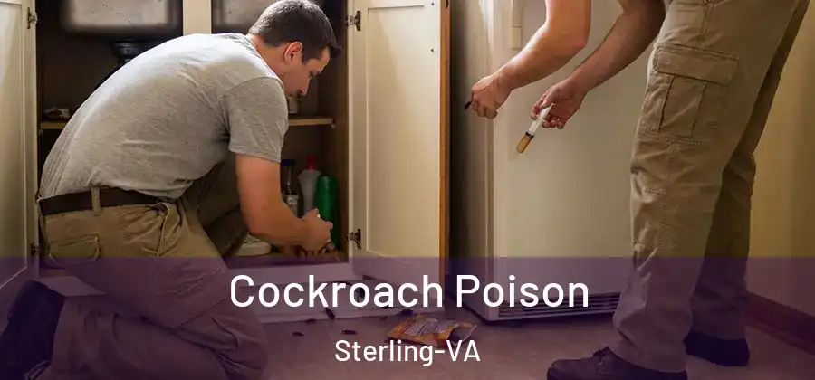 Cockroach Poison Sterling-VA