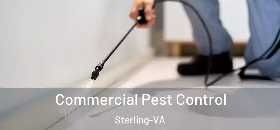 Commercial Pest Control Sterling-VA