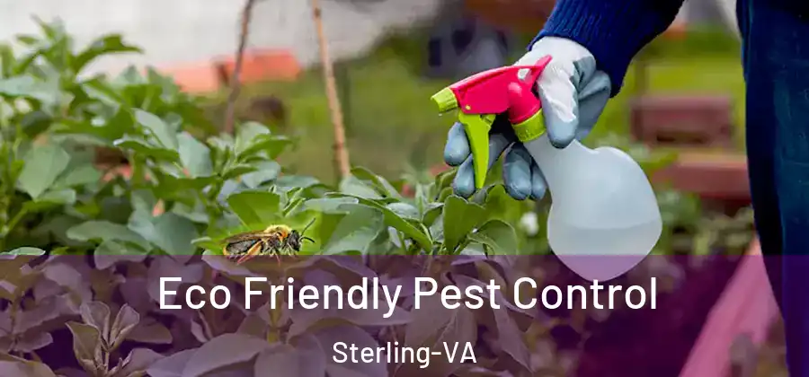 Eco Friendly Pest Control Sterling-VA