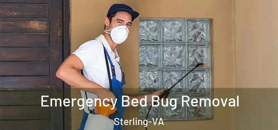  Emergency Bed Bug Removal Sterling-VA