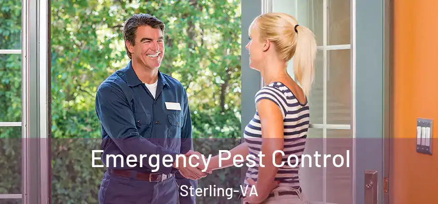 Emergency Pest Control Sterling-VA