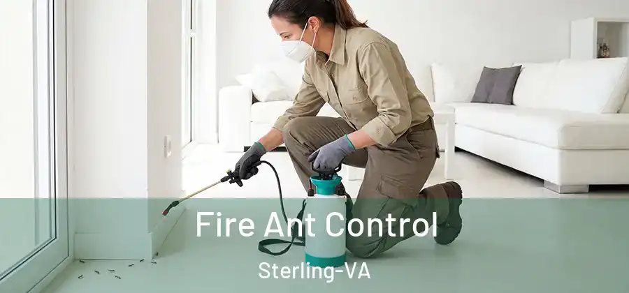 Fire Ant Control Sterling-VA