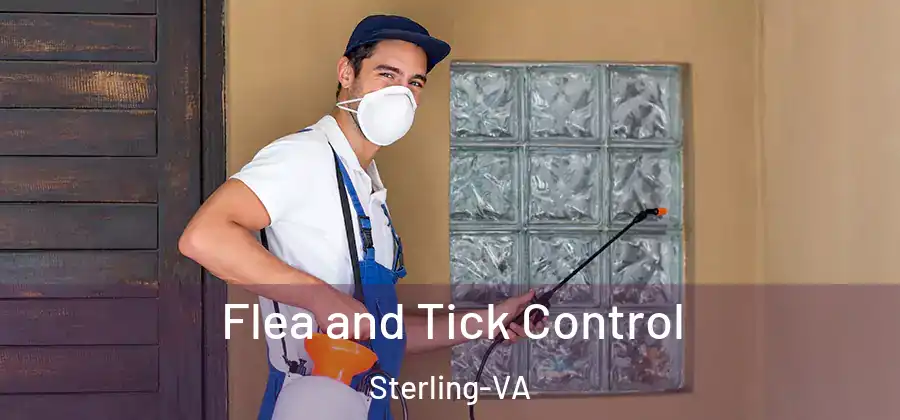 Flea and Tick Control Sterling-VA