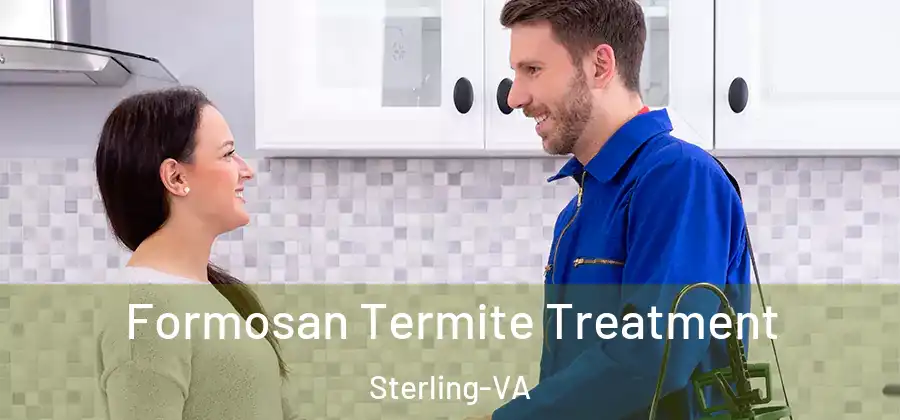 Formosan Termite Treatment Sterling-VA