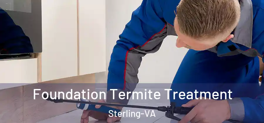Foundation Termite Treatment Sterling-VA
