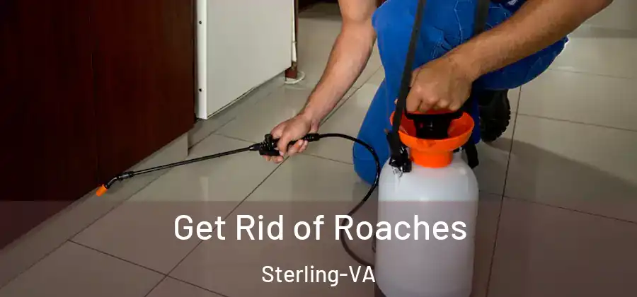  Get Rid of Roaches Sterling-VA