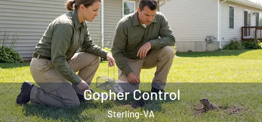 Gopher Control Sterling-VA