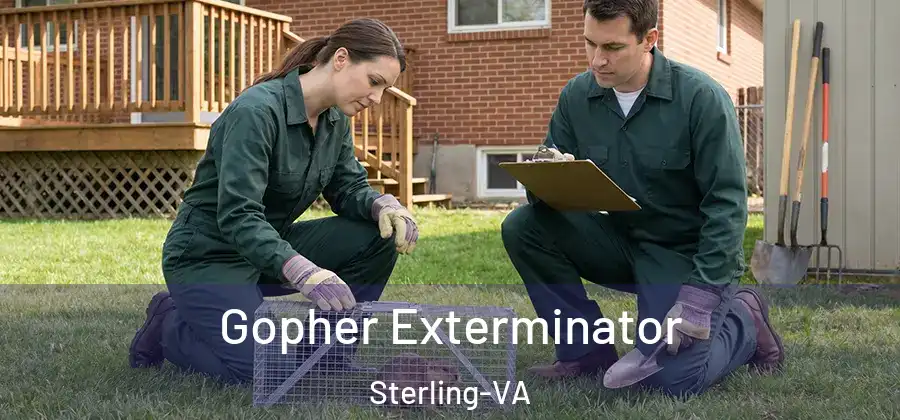 Gopher Exterminator Sterling-VA