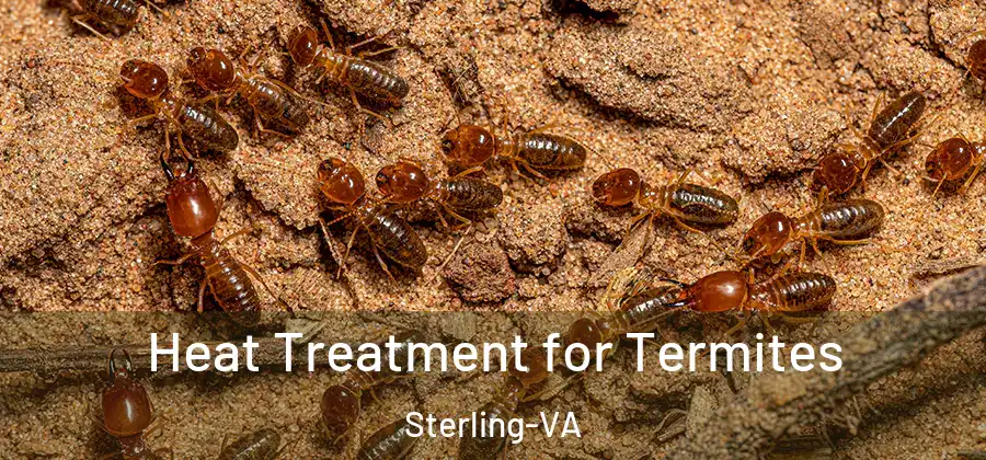  Heat Treatment for Termites Sterling-VA
