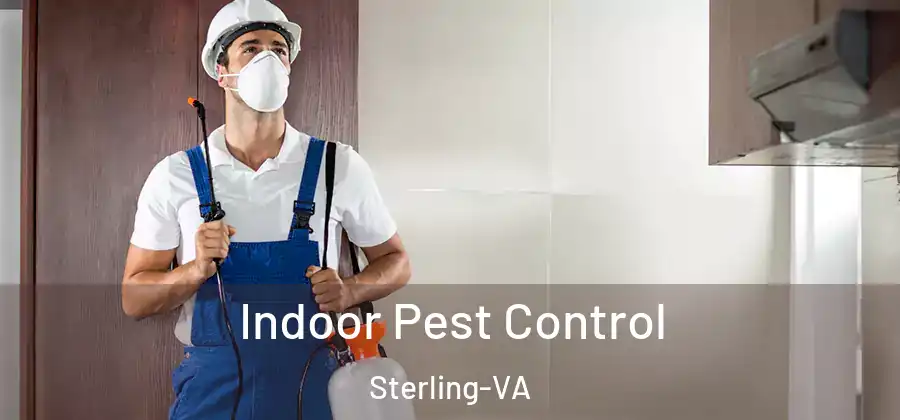 Indoor Pest Control Sterling-VA