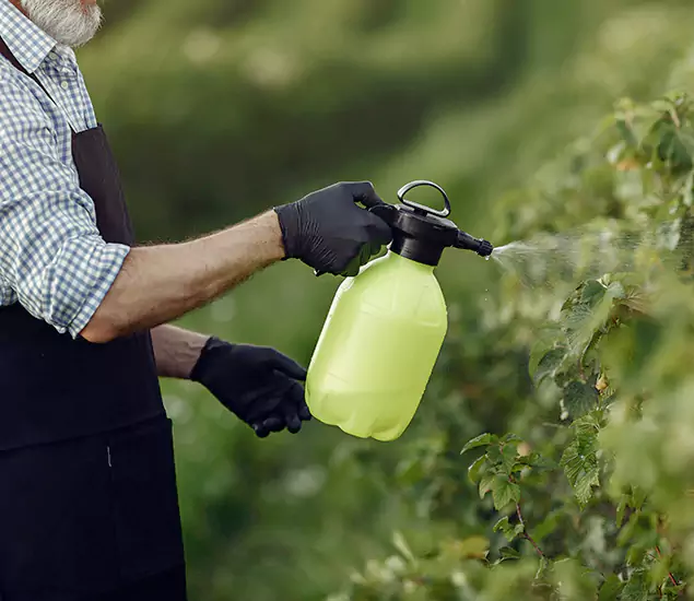 Your Proven Mosquito Treatment Company in Sterling, VA