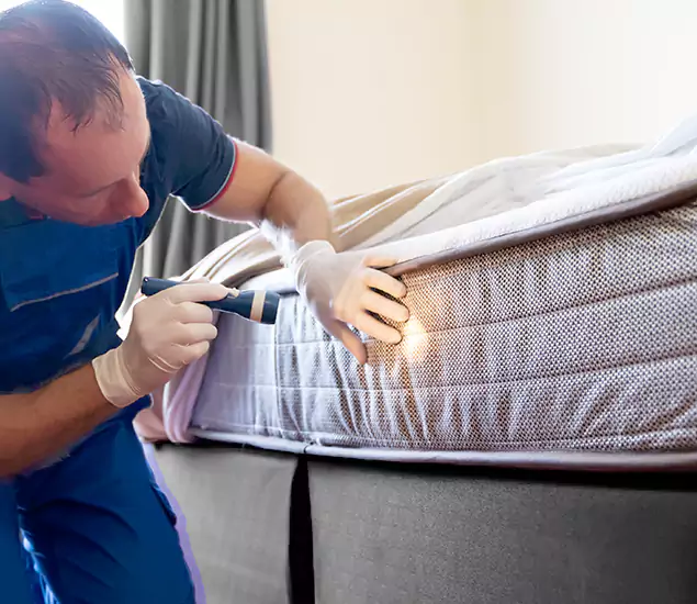 Trusted Bed Bug Cost Experts in Sterling, VA