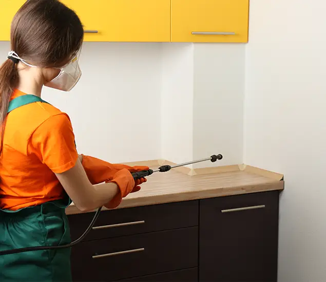 Trusted Bed Bug Pest Control Specialist in Sterling, VA