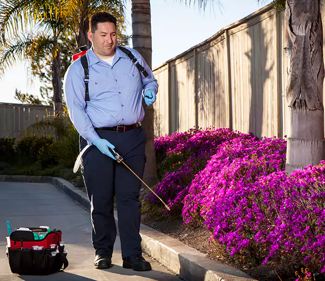 About Our Eco Safe Pest Control Experts in Sterling, VA