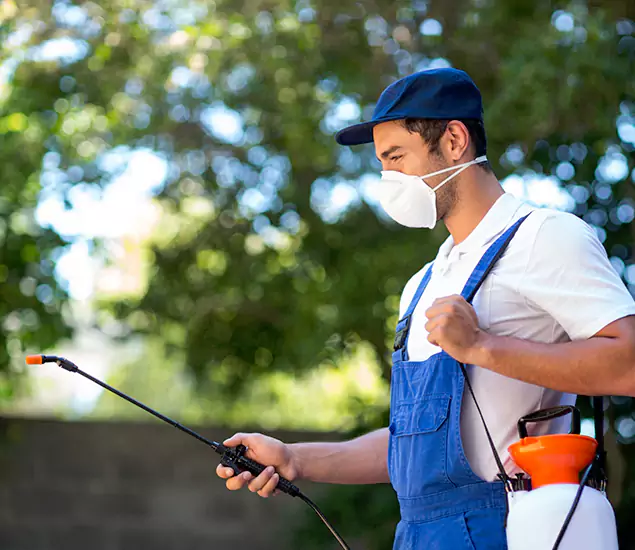 Your Trusted Flea and Tick Control in Sterling, VA