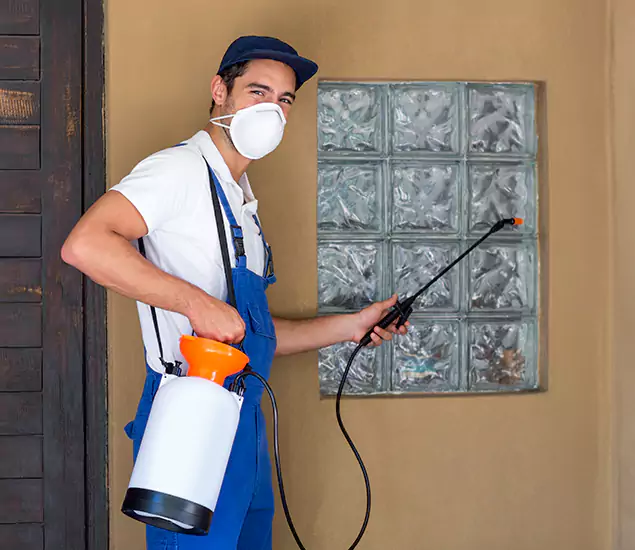 About Heat Treatment for Termites Experts in Sterling, VA