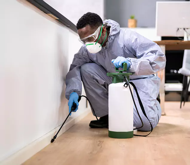 Leading Industrial Pest Control Experts Serving Sterling, VA